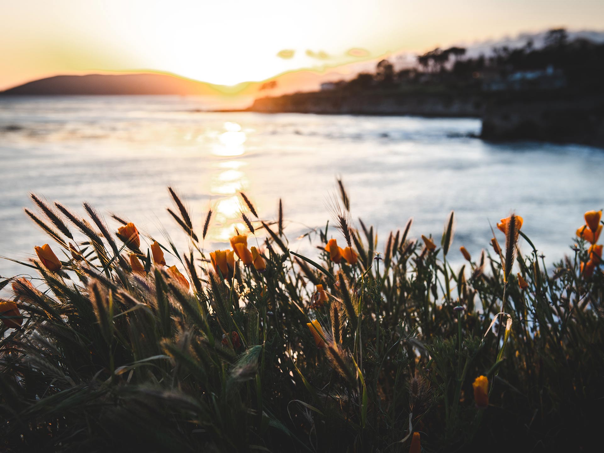 6 Charming Small Towns in California to Visit During the Summer