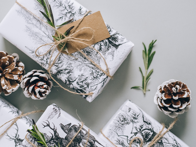 Holiday Gift Guide 2022