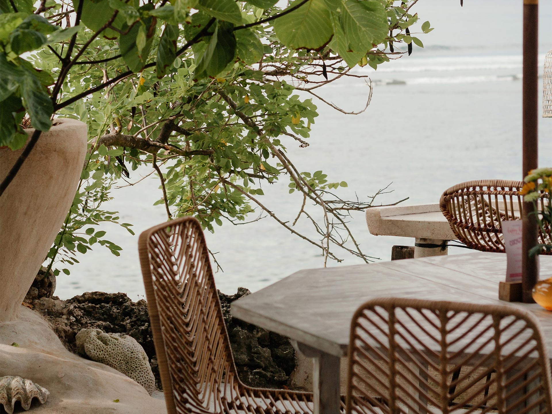 Laguna Beach's Top Restaurants for Fall Delights