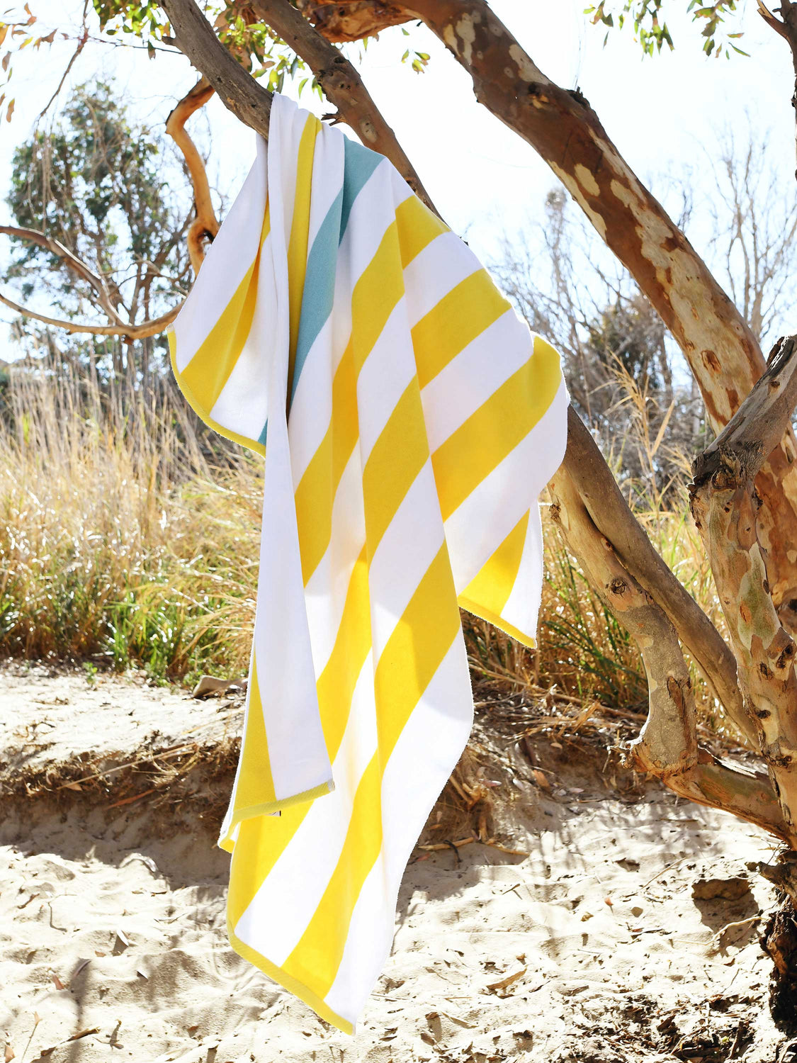 An oversized, yellow, green, and white striped cabana beach towel hanging over a tree branch.