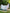 Two women standing next to a pool holding oversized Turkish towels with their arms extended out.